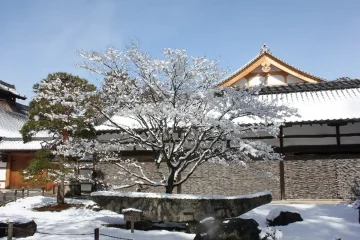 不動産登記事項証明書の見方をマスターしよう！権利部甲区編