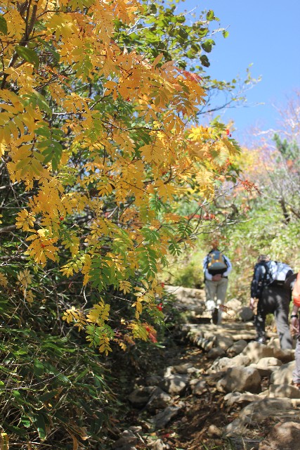 第73回人権週間到来!「誰一人取り残さない」社会への画像