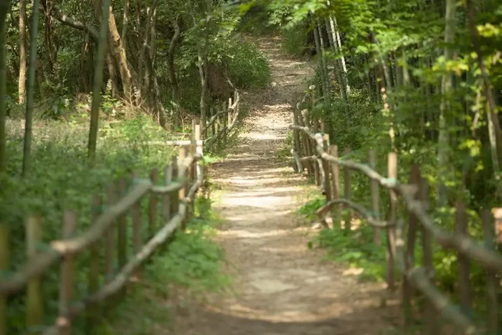 戸籍の附票の写しにおける記載事項の変更：令和4年新規定の画像