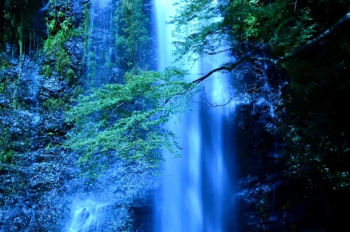 遺言がある場合とない場合の相続費用の違い: 認知症の配偶者を持つ相続ケースの画像