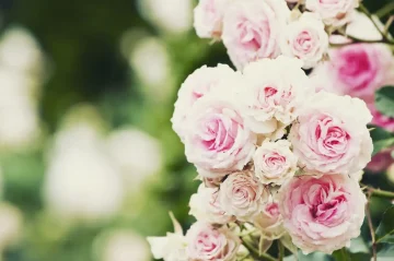 年末に確認したい遺言書作成のポイント|2025年内に済ませるべき相続対策