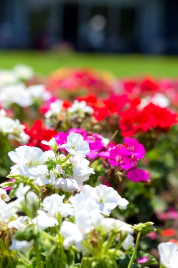 【お正月限定】親族会議で必ず決めるべき相続の5項目|滋賀の司法書士が教える円満解決法2026