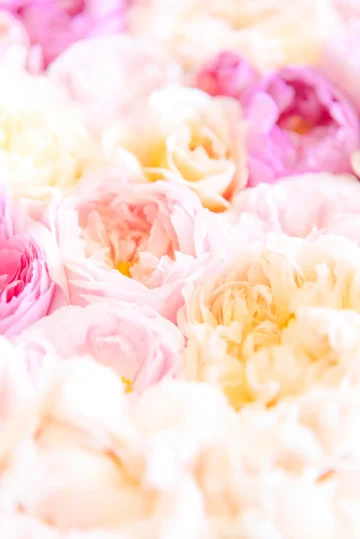 【司法書士が徹底解説】個人間の高額融資で絶対に失敗しない!不動産担保(抵当権・譲渡担保)活用の完全ガイド