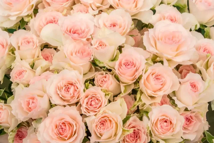 【司法書士監修】負担付贈与契約書で実現する老後の安心対策の画像