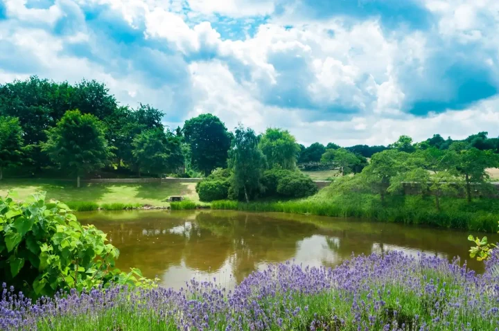 登記証明書の読み方マスター！権利部甲区完全解説の画像