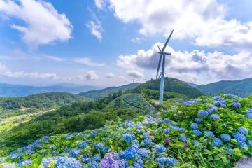 春のトラブル回避!不動産売買で『後悔しない登記』見落とし厳禁ポイント