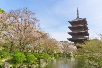 親の口座からお金が下ろせない…施設費用はどうする?【大津の成年後見事例】